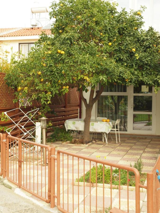 Moon-Light Studio Hotel Larnaca Exterior photo